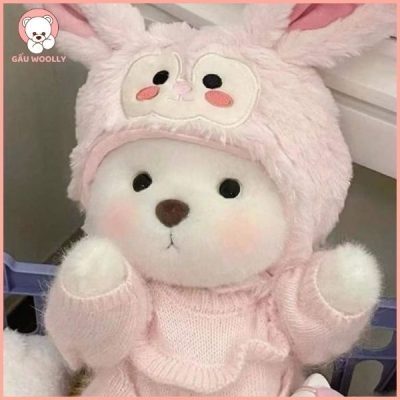 Gấu Teddy trang phục hàng ngày